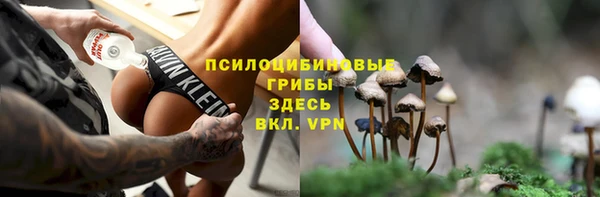 стафф Кулебаки